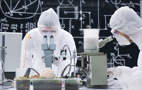 某化學工程項目定制款電蒸汽發生器使用案例！
